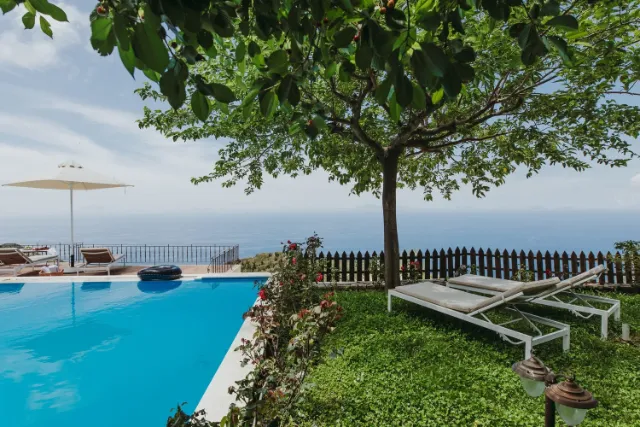 Carmel Luxury Villa I — pool 7
